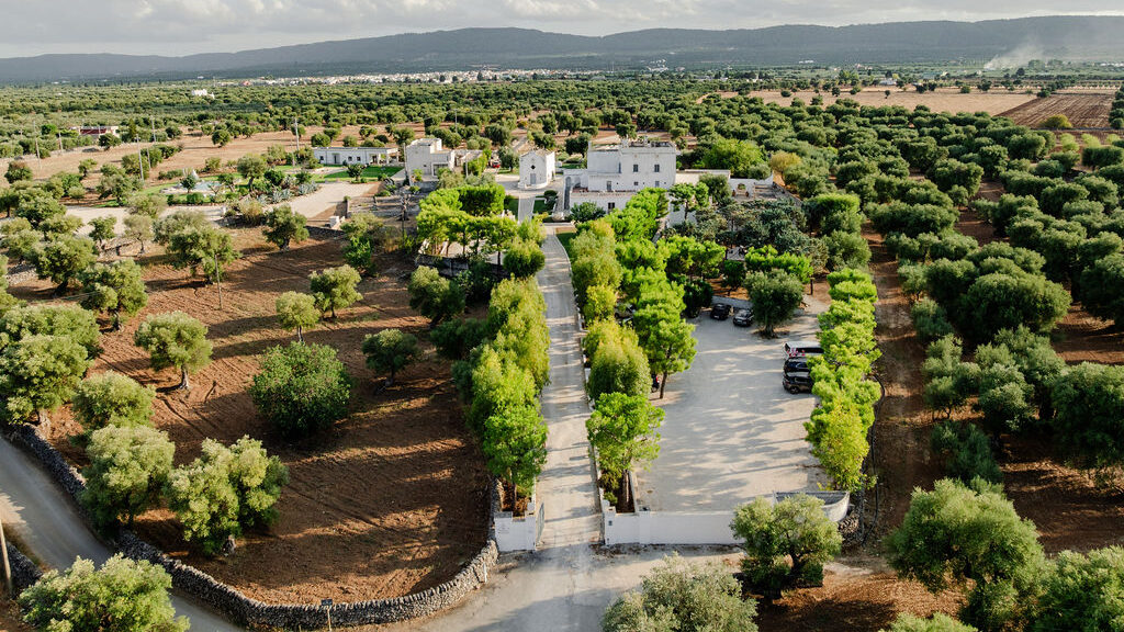 Heiraten in der Masseria San Giovanni: Der perfekte Ort für ein Hochzeitswochenende in Apulien 6 einfahrt masseria san giovanni edited