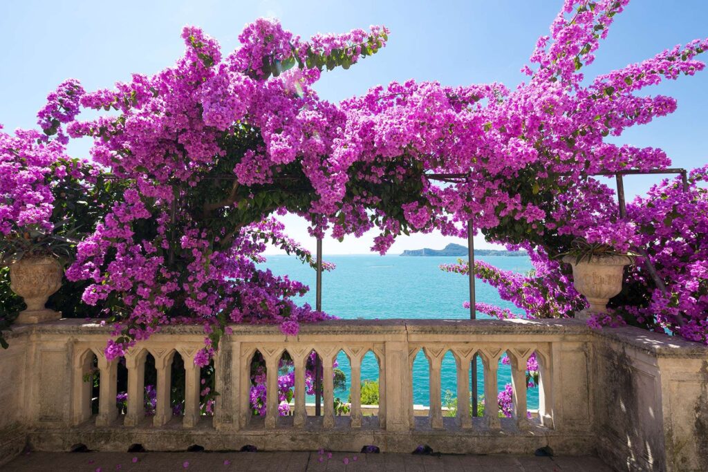 Hochzeitslocation Isola del Garda: Heiraten am Gardasee 5 Terrasse Hochzeitslocation am Gardasee