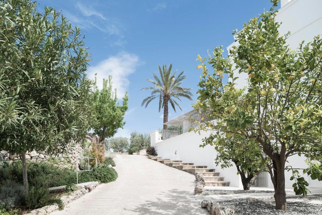 Hochzeitslocations in Apulien: Die schönsten Orte für eure Luxus-Hochzeit in Apulien 15 Masseria Alchimia - Italien, Apulien, heiraten mit Wedding Planner Julia Weiß von Illumina Weddings